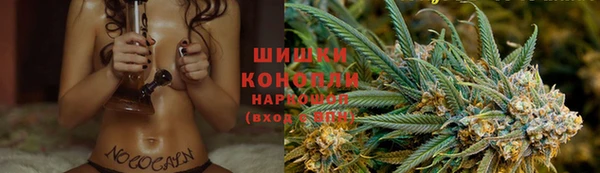 трава Балахна
