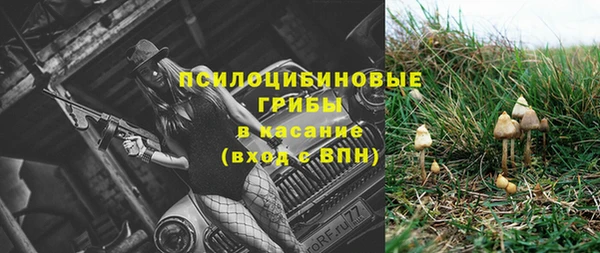 трава Балахна