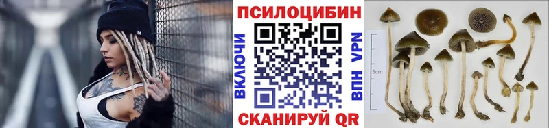 Псилоцибиновые грибы мицелий  Белозерск 